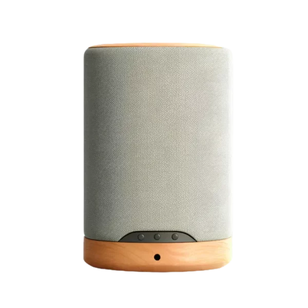 Aura Home Speaker Mini